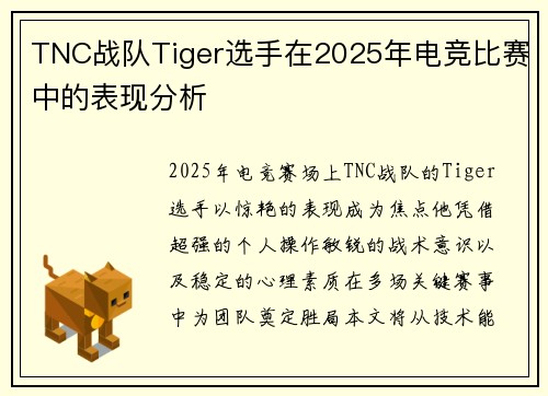 TNC战队Tiger选手在2025年电竞比赛中的表现分析